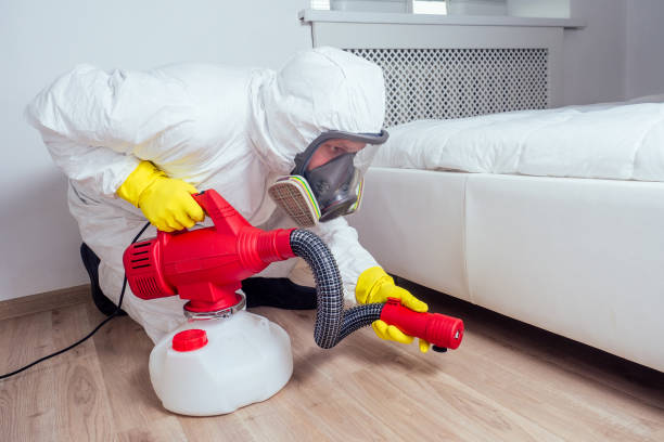 Best Emergency Pest Control  in Canyon Day, AZ