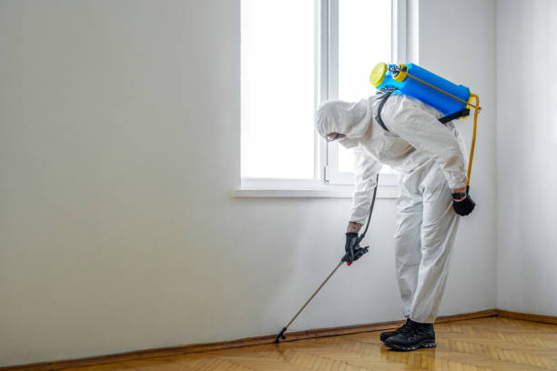 Reliable Canyon Day, AZ Pest Control Solutions