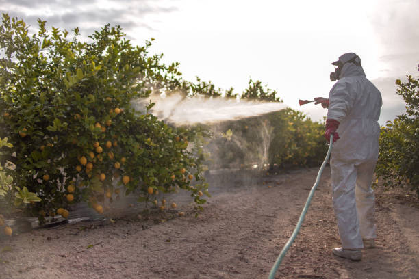 Best Exterminator Services  in Canyon Day, AZ