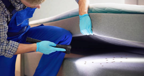 Best Best Pest Control Companies  in Canyon Day, AZ
