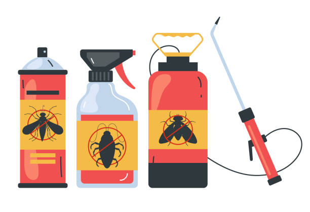 Flea Control Services in Canyon Day, AZ