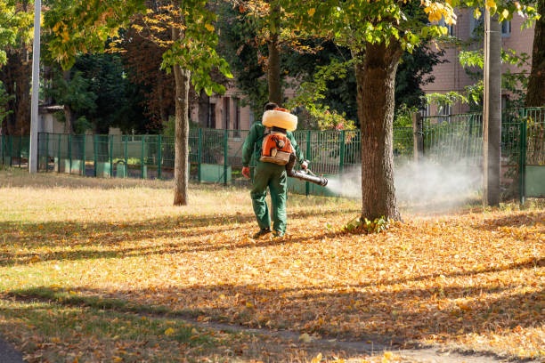Best Wildlife Control Services  in Canyon Day, AZ