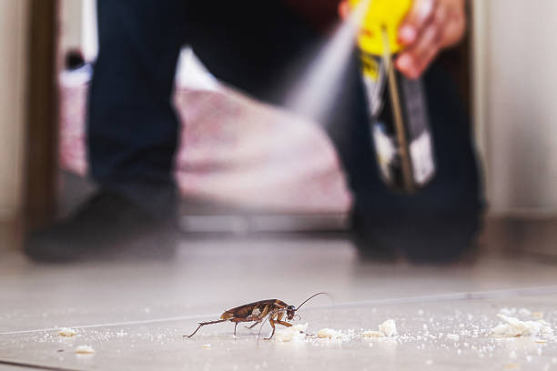 Best Residential Pest Control  in Canyon Day, AZ